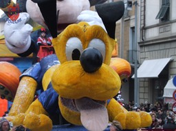 DSCF3329_risultato