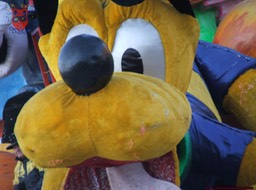 DSCF3869_risultato