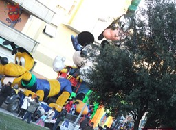 DSCF3899_risultato