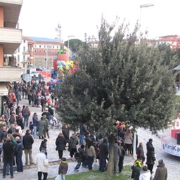 IMG_3552_risultato