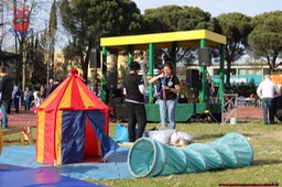IMG_6452_risultato